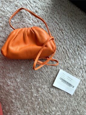 Bottega coin purse